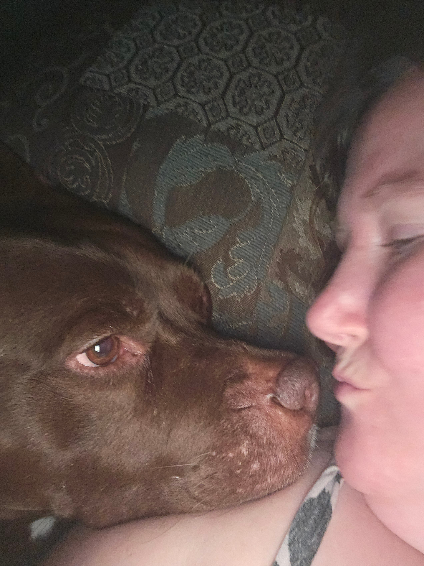 Lindsay caring for a happy dog during a visit